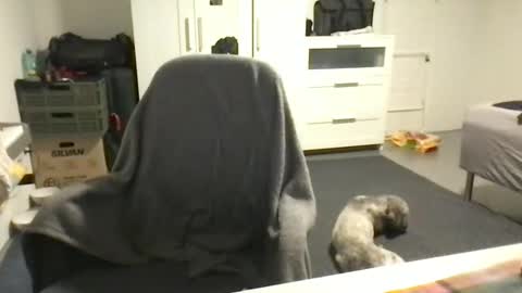 cheftoti online show from February 16, 7:05 pm