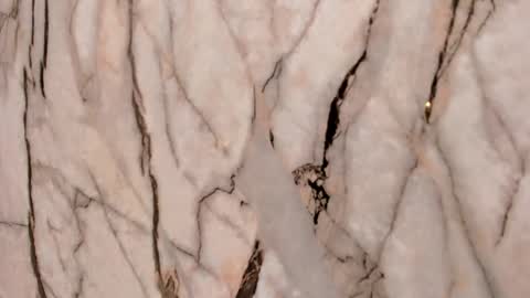 Emma  online show from November 22, 11:41 am