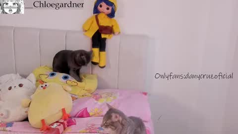 Chloe online show from October 21, 8:34 pm