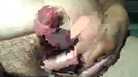 chris198585 online show from December 5, 6:49 pm