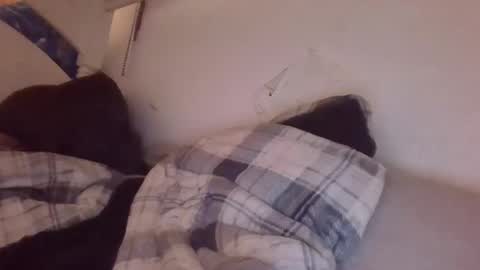 CreepyCrawlyQueenIsmyfavstreamerbyfar online show from January 23, 11:58 pm