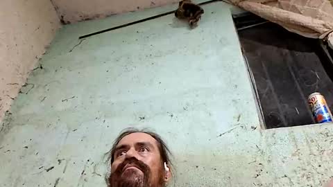 Jose online show from December 4, 10:15 am