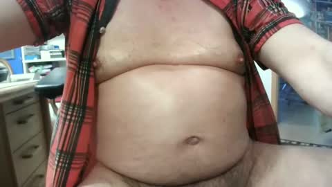 Circus Bear online show from January 31, 4:06 pm