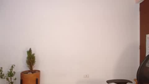 cookiecoco online show from January 27, 11:00 pm