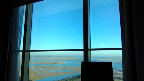 cod338 online show from December 4, 12:52 pm