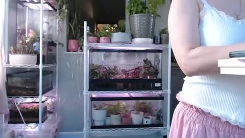 ANR Mommy online show from November 20, 5:43 pm