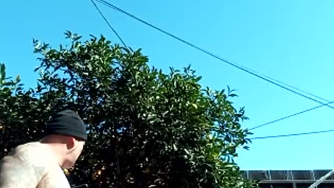 Snapshot of corpusrichard78 chatting on March 3, 6:56 pm corpusrichard78 online show from March 3, 6:56 pm