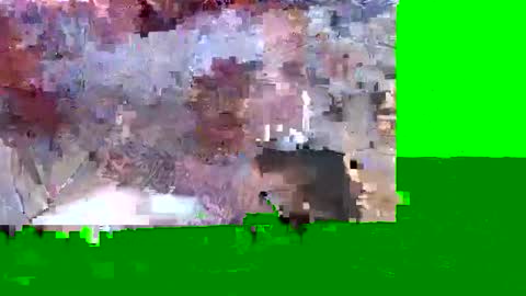 Leftys Way online show from November 21, 10:57 am