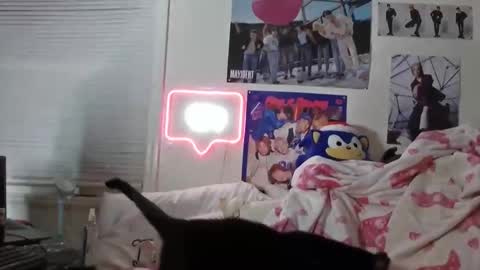 Snapshot of cowjuggie chatting on October 13, 1:40 am Katxce online show from October 13, 1:40 am