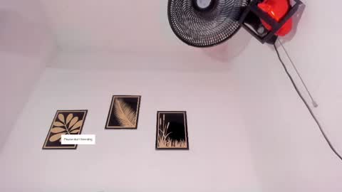 criss_zuri online show from March 23, 12:54 pm