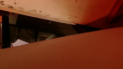 Snapshot of cryan78 chatting on February 4, 8:56 am cryan96 online show from February 4, 8:56 am