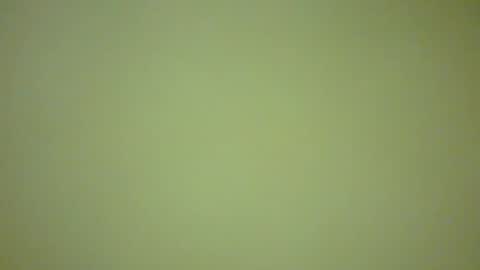 ctbddc online show from February 16, 9:04 am