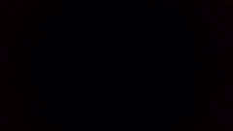 Breeding Bull USA online show from February 3, 9:35 am