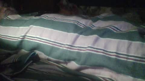 Noha online show from January 10, 6:46 pm