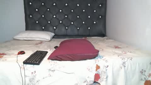 Shiiro online show from November 12, 8:22 pm