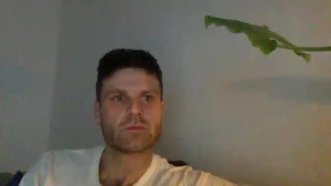 curiousnesssssss online show from January 7, 8:03 pm