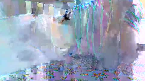 cute_savanna online show from February 11, 8:18 am