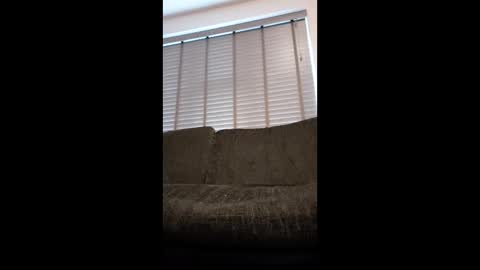 dadbod3768764 online show from January 13, 12:24 pm