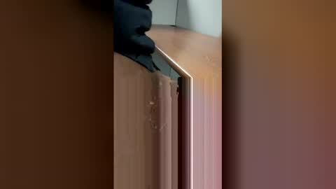 DaddyLeeBBC online show from April 24, 6:04 am