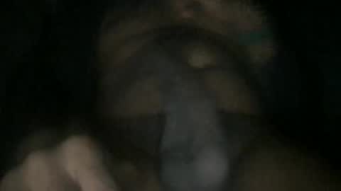 D online show from November 26, 2:42 am