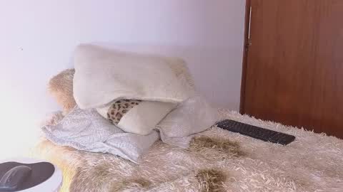 Dahiana online show from December 15, 9:22 pm