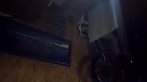 dave online show from March 5, 2:20 am