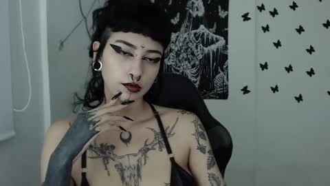 dakota online show from January 29, 4:47 am