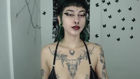 dakota online show from January 8, 9:10 am