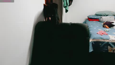 dani y jocelyn online show from January 15, 6:39 pm