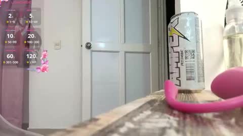 dannagabriella online show from November 27, 4:53 am