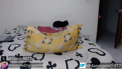 Dani doll online show from September 12, 11:51 pm