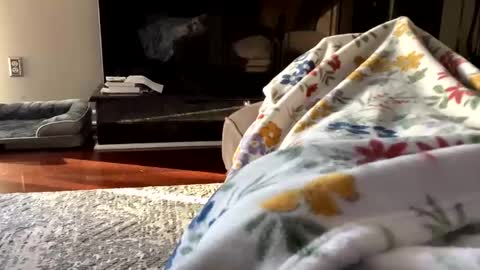 dannyboy621 online show from October 26, 1:23 pm