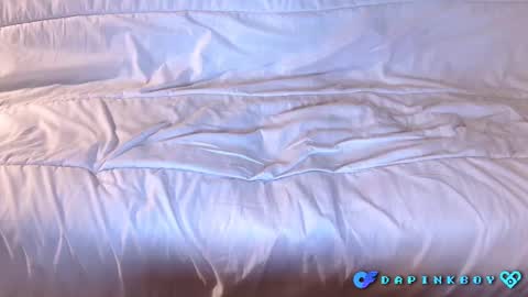 Snapshot of dapinkboy chatting on February 26, 11:41 pm dapinkboy online show from February 26, 11:41 pm