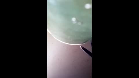 dar950914 online show from April 10, 7:18 pm