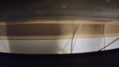 daron69803227 online show from January 17, 8:13 am