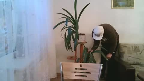 Dario online show from December 1, 11:08 am