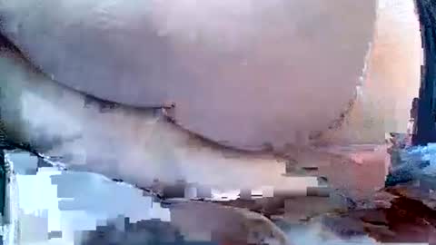 Exhibit A online show from November 30, 2:24 pm