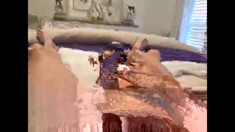 David online show from February 24, 10:35 pm