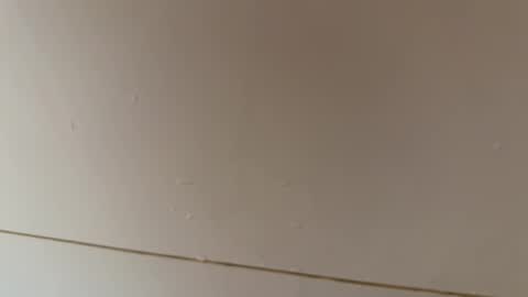 Hornybear online show from March 7, 7:36 pm