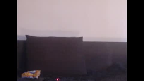 Deelightfull online show from January 17, 8:35 am