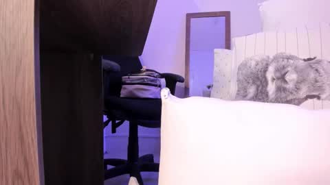 Snapshot of denisse_logan chatting on October 6, 3:46 am denisse_logan online show from October 6, 3:46 am