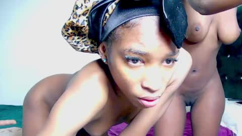 shiba online show from April 12, 2:54 pm