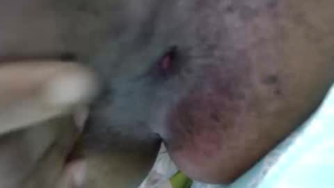 Devora.. online show from September 19, 10:02 pm