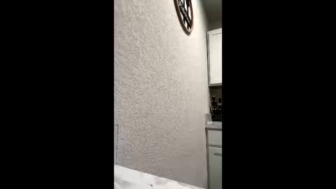 dickdiesel1989 online show from October 27, 6:41 pm