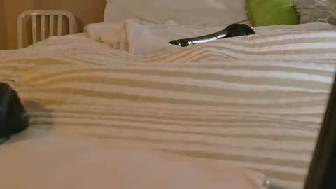 dildosnme22 online show from February 9, 11:14 am