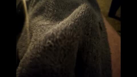 Dilf online show from January 16, 6:35 am