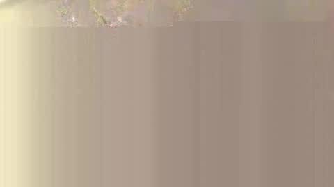 black american princess online show from October 16, 11:47 pm