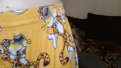 Sofie online show from November 27, 10:34 am