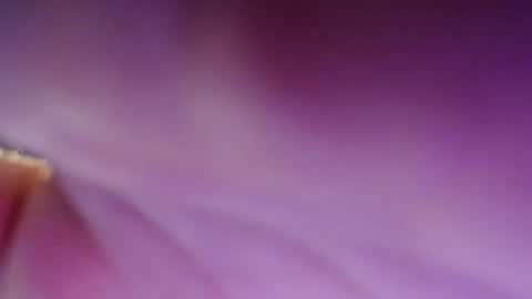 Snapshot of dirty_kiss69 chatting on February 17, 11:33 pm Dirty Kiss69 online show from February 17, 11:33 pm