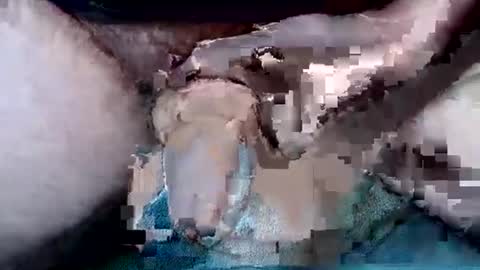 dirtyadventurer online show from December 15, 6:04 pm